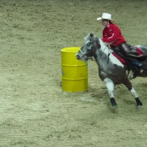 Equitana09 (166) (Custom).jpg