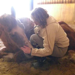 CIMG8485 - Kopie.jpg