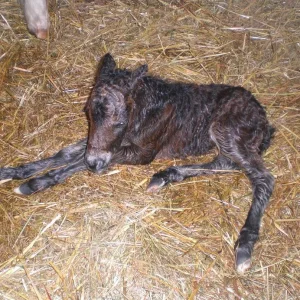 CIMG8590 - Kopie.jpg