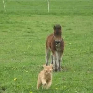 CIMG9545 - Kopie.jpg