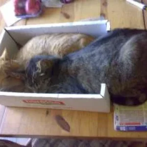 bilder 2007 u. 2008 291.jpg