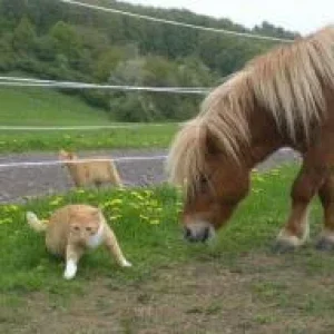 CIMG9521 - Kopie.jpg