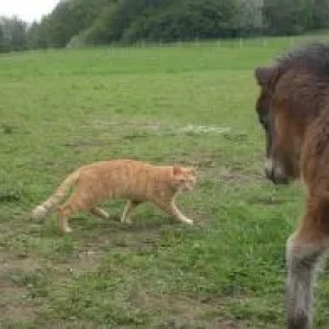 CIMG9522 - Kopie.jpg