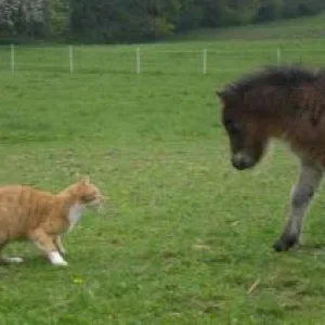 CIMG9550 - Kopie.jpg