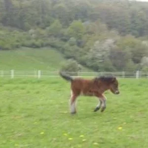 CIMG9578 - Kopie.jpg