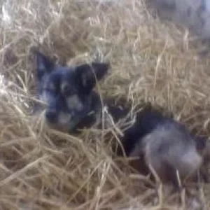 bilder 2007 u. 2008 071.jpg