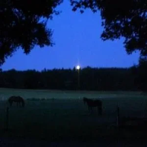 CIMG0519 - Kopie.jpg