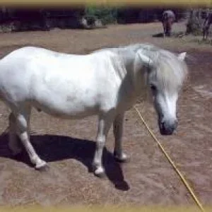 Stell die Dusche endlich an!.jpg