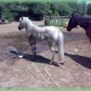 Der Bauch muss auch, Co möchte auch mal!.jpg