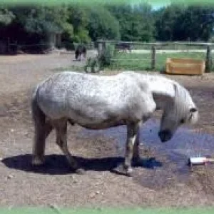 Auch das Gesicht!.jpg