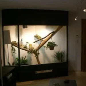 CIMG0675 (Medium).jpg