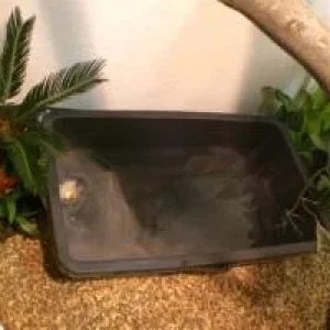 CIMG0681 (Medium).jpg