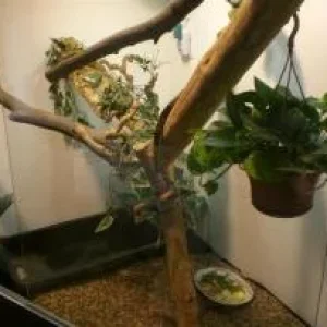 CIMG0670 (Medium).jpg