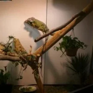 CIMG0673 (Medium).jpg