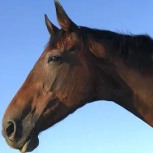 CIMG1224 - Kopie.jpg