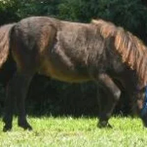 Bonito 26.09.09 2.jpg