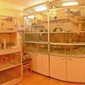 mein ganzer stolz.jpg