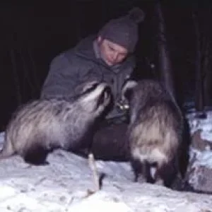 nächtlicher Besuch am Bau_d.jpg