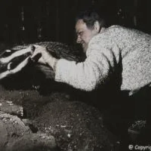 Diggi hat eine Neuigkeit_02.jpg