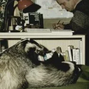 Diggi hat eine Neuigkeit_03.jpg