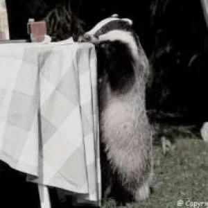 Diggi hat eine Neuigkeit_04.jpg