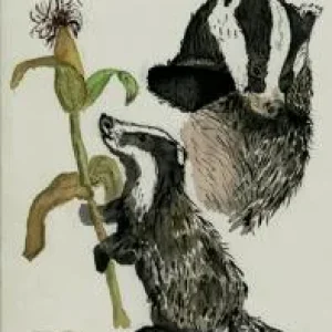 Diggi hat eine Neuigkeit_07.jpg