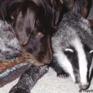 Actaeon´s Pflegekinder- 2. Kleine Überraschungen_01.jpg