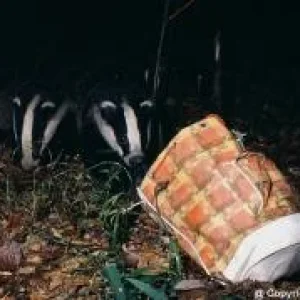 Actaeon´s Pflegekinder- 2. Kleine Überraschungen_09.jpg