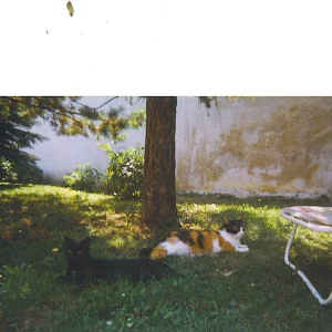 spooky und bageera.jpg