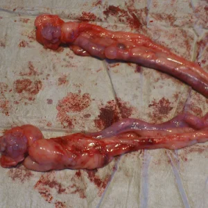 gabi15062013 093.JPG