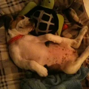 Foto (1) - Kopie.JPG