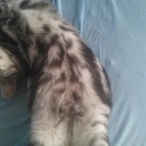 2013-11-15 11.25.05.jpg