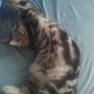 2013-11-15 11.25.38.jpg