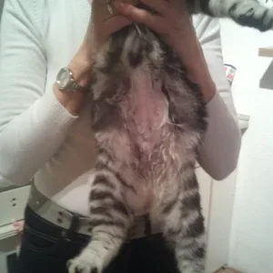 2013-12-10 17.53.17.jpg