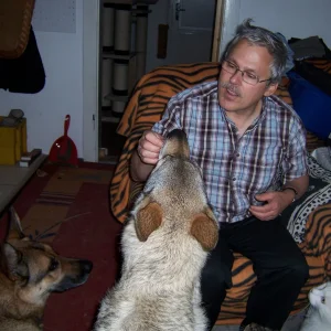 meine meute 2014 025.JPG