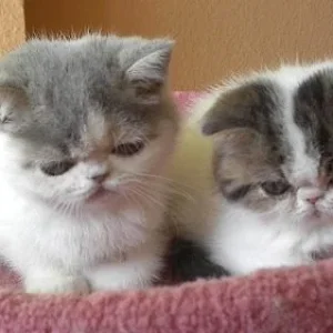 Gabi 707.05.2015   07.jpg