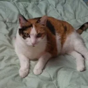 das neueste Bild.jpg