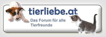tierliebe3.jpg