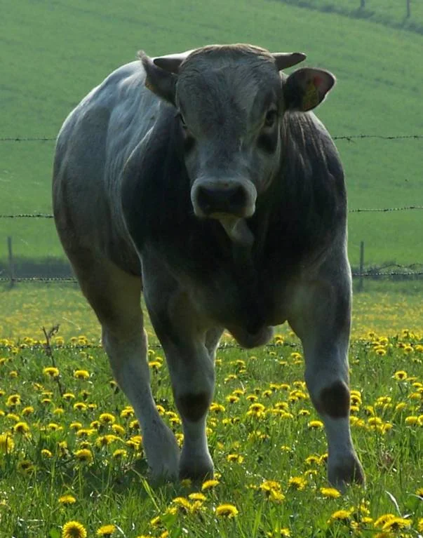 11 Monate nach dem Kaiserschnitt