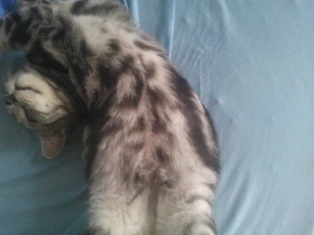 2013-11-15 11.25.05.jpg