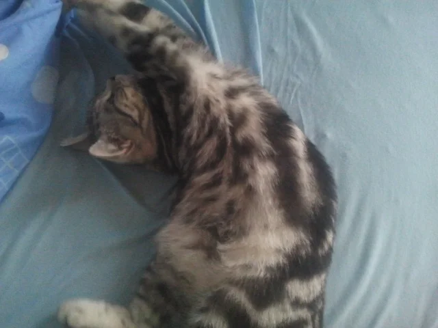 2013-11-15 11.25.38.jpg