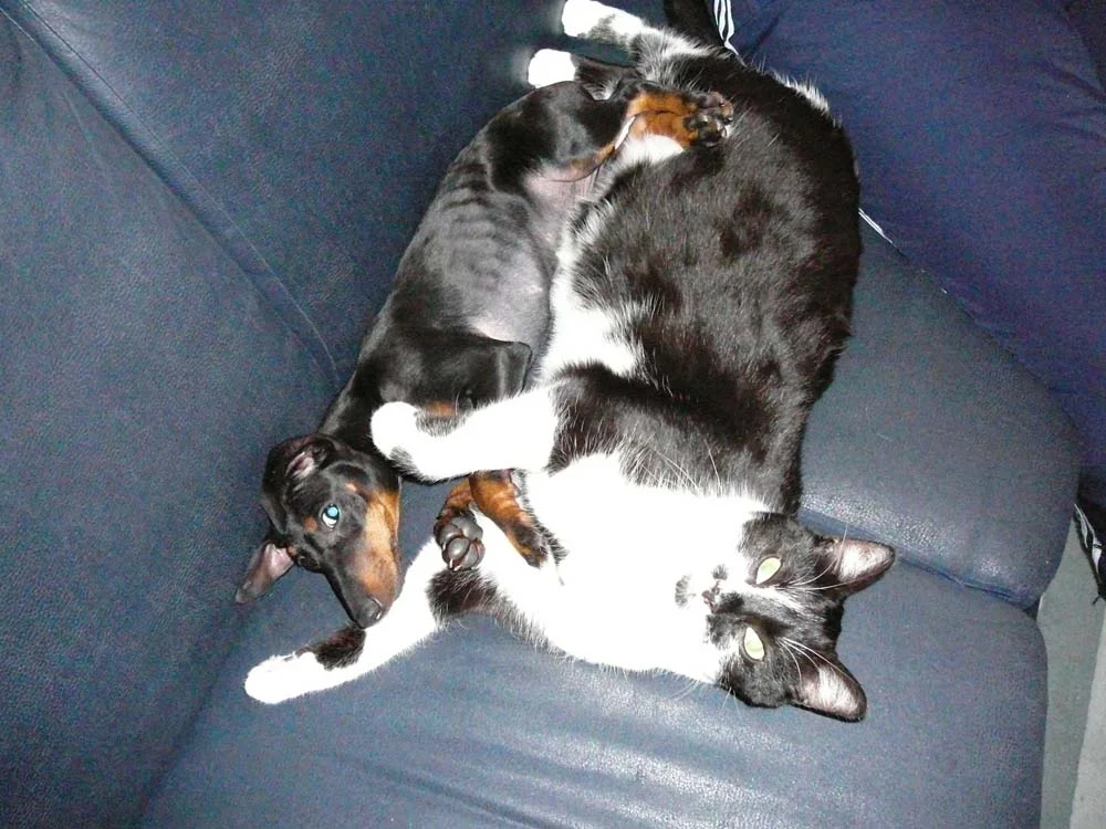 34 Dira Olli kuscheln.jpg