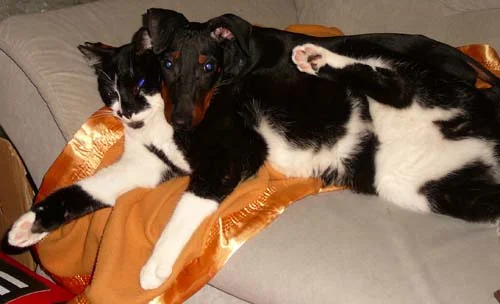 47 Dira und Olli kuscheln.jpg