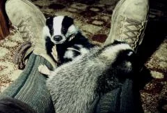 Actaeon´s Pflegekinder-die ersten Tage_03.jpg