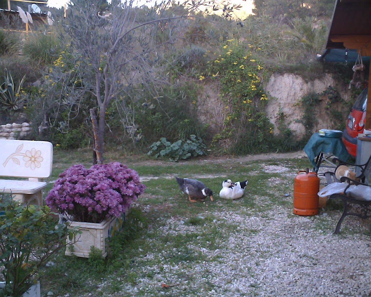 Agip & Strubbel & Robin Herbstbild 11.07.jpg