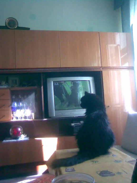 Ahhhhh Fernsehen ist toll