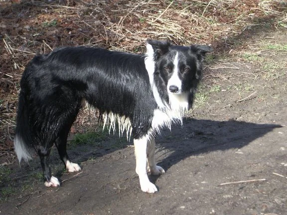 amos_erlenbach_märz07 017.jpg