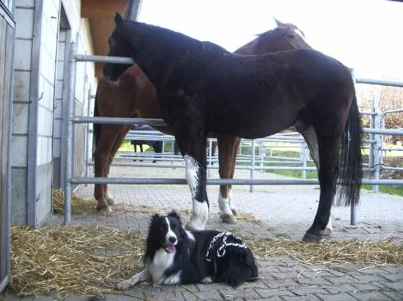 amos_erlenbach_märz07 031.jpg