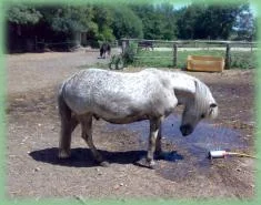 Auch das Gesicht!.jpg