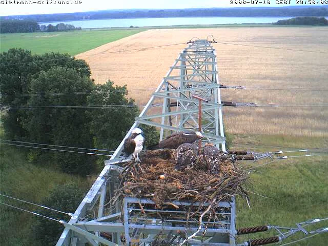 aufgenommen auf der  Sielmann Cam